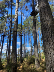 Service Academy 14 March 2025