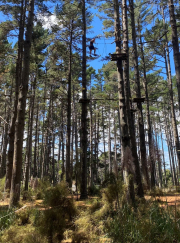 Service Academy 14 March 2025