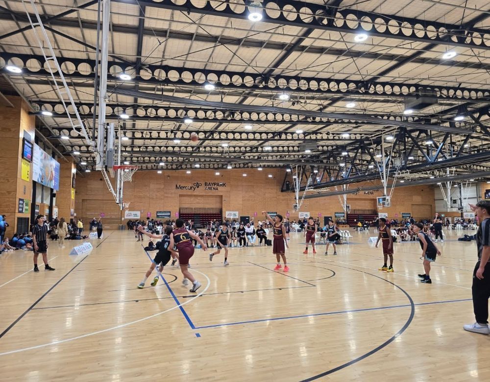 542585472 17962686293970779 146067094666303797 N